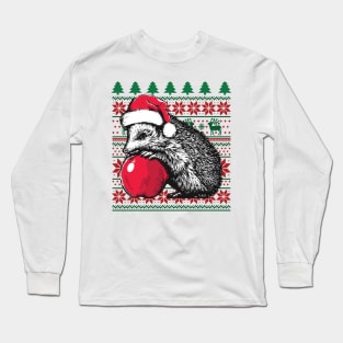 Hedgehog Christmas Pattern Long Sleeve T-Shirt